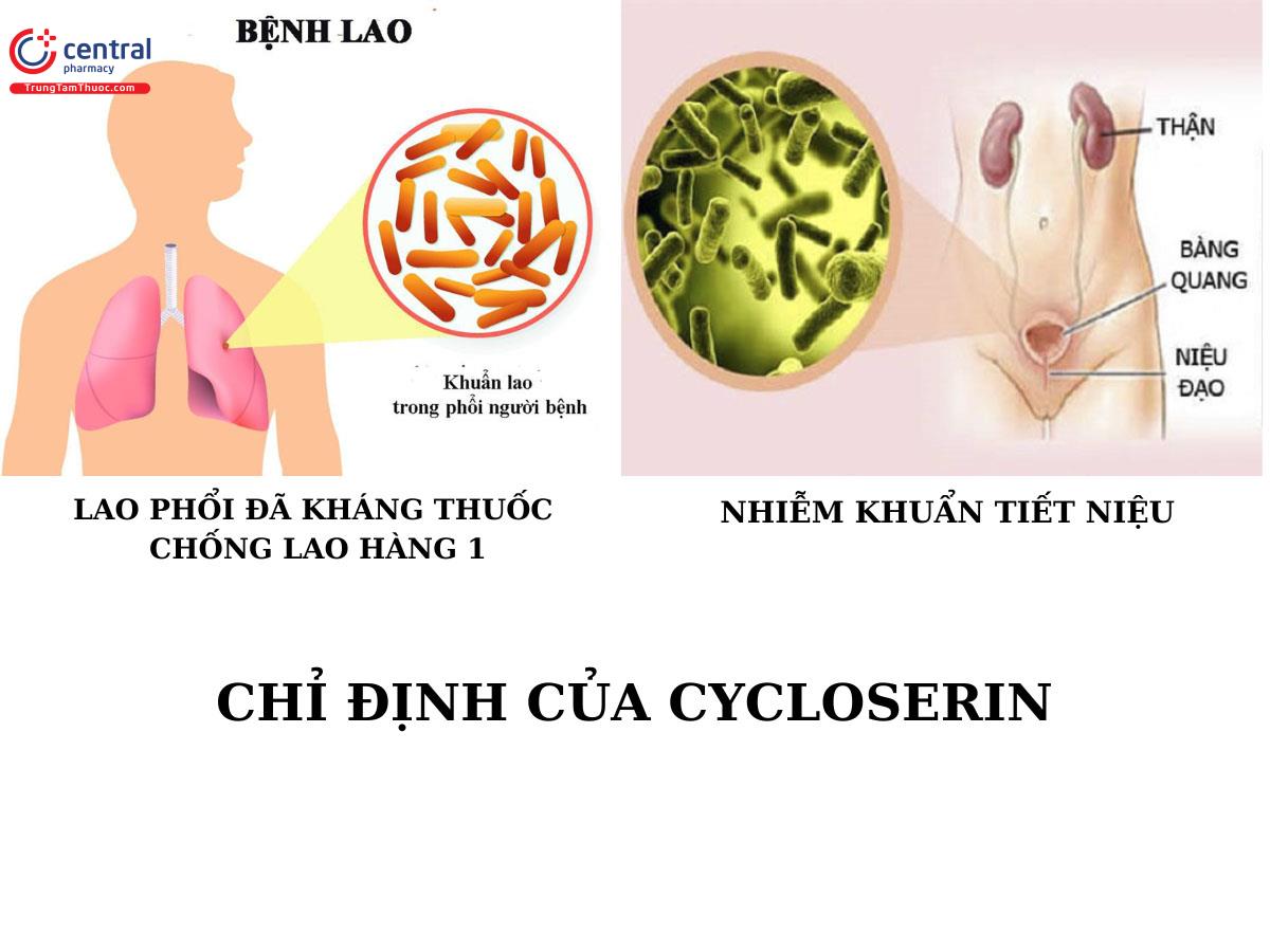 Chỉ định của Cycloserin